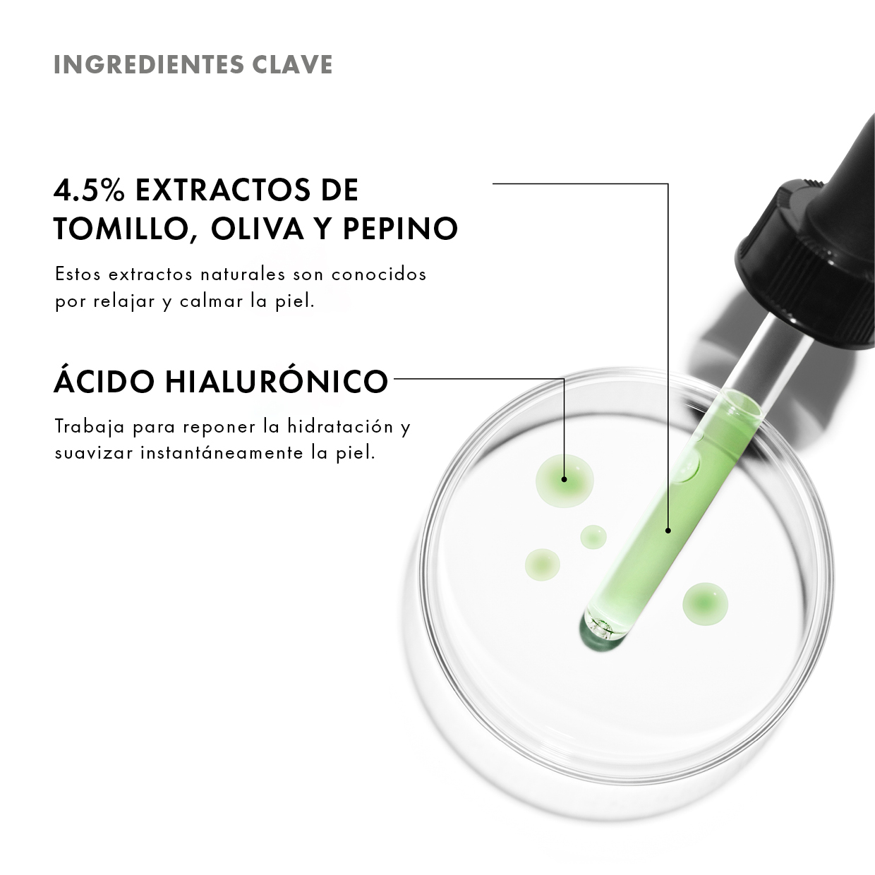 Phyto Corrective (4)