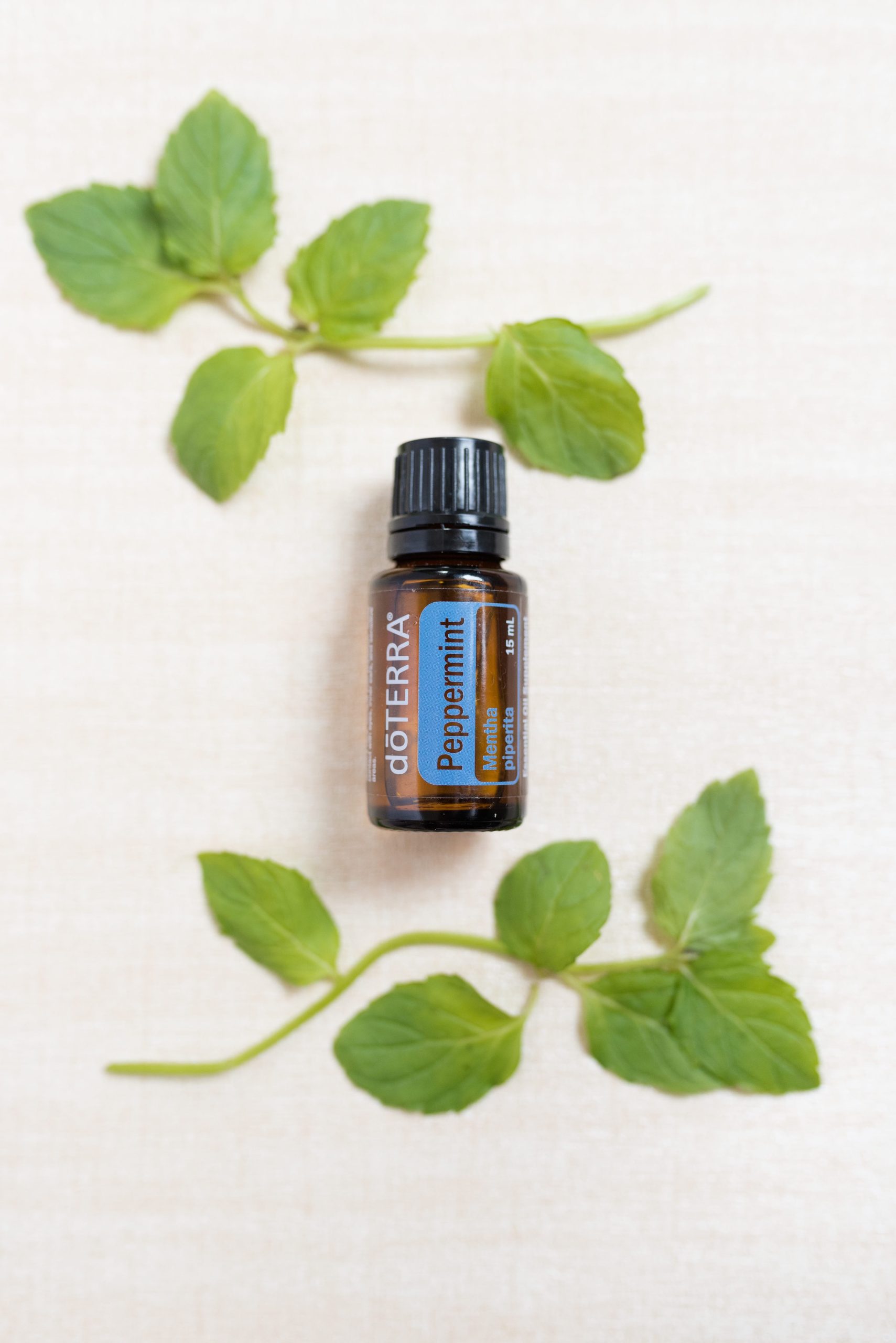 Peppermint-Essential Oils-Lifestyle Images-Photography-US Market-Horizontal-1